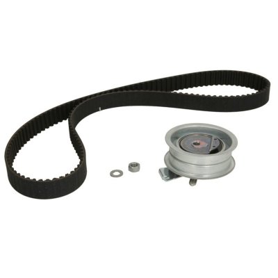 INA Kit de distribution -  530 0171 10
