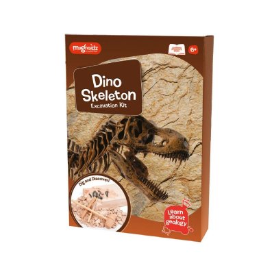 MAGNOIDZ Kit de fouille squelette dino 25 cm