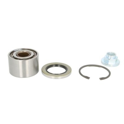 SNR Kit de roulements de roue  R169.22 (X1)