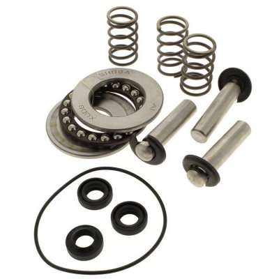 MAC ALLISTER Kit pistons + joints + roulements pour Nettoyeur haute pression