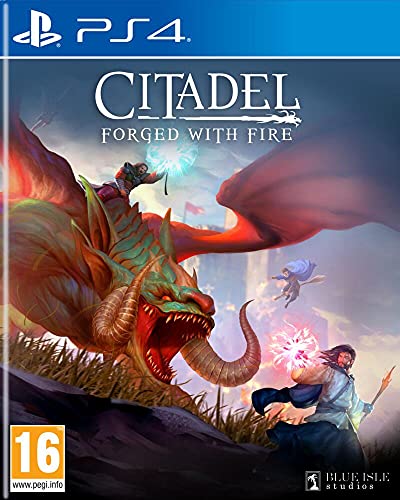 Koch Media Citadel Forged With Fire