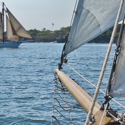KOMAR  Photo Murale, 368cm x 254cm, Voile