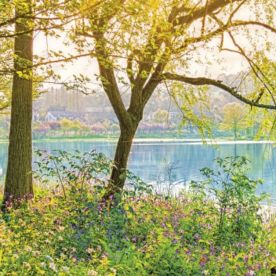 KOMAR  - Photo murale de Spring Lake - Taille: 368 x 254 cm - vert