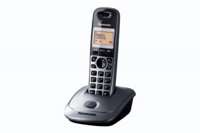PANASONIC KX-TG2511JTM - T&eacute;l&eacute;phone sans fil avec ID d'appelant/appel en instance - DECTGAP - gris m&eacute;tallis&eacute; 