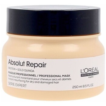 L OREAL PROFESSIONNEL PARIS L'Or&eacute;al Professionnel Absolut Repair Gold Professional Mask 250 Ml