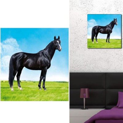 GENERIQUE L'univers Du Cheval - Cadre Toile Cheval