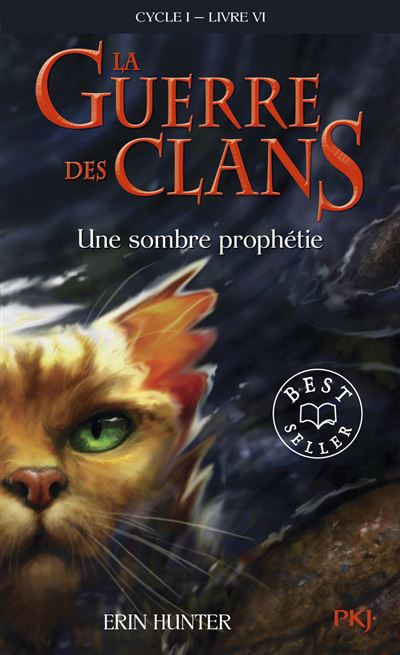 La guerre des Clans - cycle I - tome 6 Une sombre proph&eacute;tie -poche-
