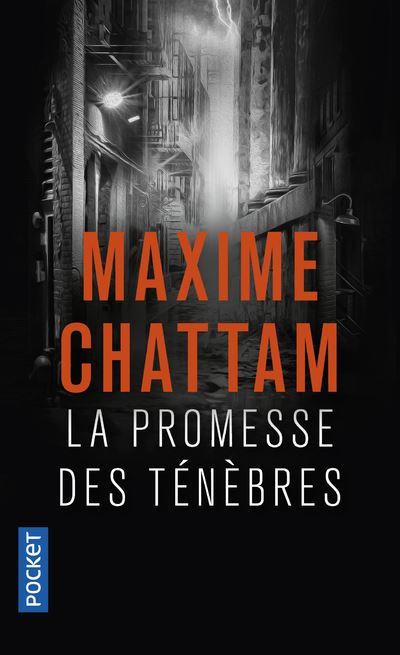 La promesse des t&eacute;n&egrave;bres (Poche)