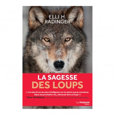La sagesse des loups (Broch&eacute;)
