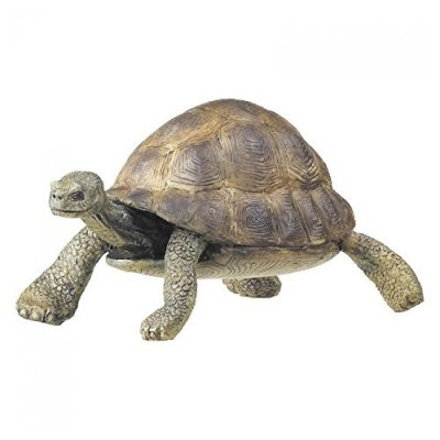 PAPO La Vie Sauvage Tortue