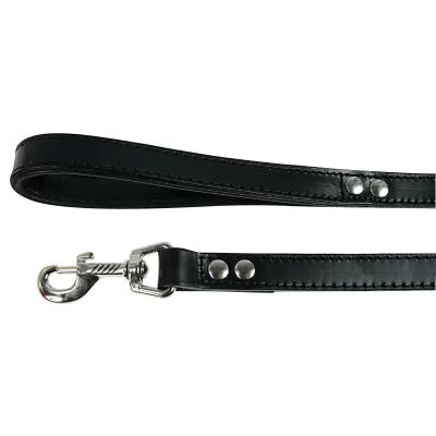 ZOLUX Laisse bouledog pour chien 