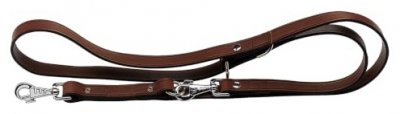 FERPLAST Laisse d'entra&icirc;nement Toro en cuir marron 200x1.8 cm 