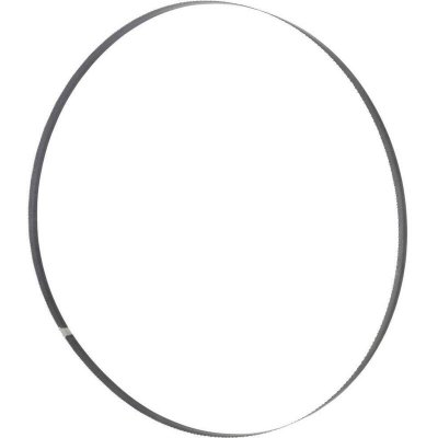 HOLZMANN Lame de scie ruban bois PAE 3500 x 8 x 0,65 mm DC6 BSB500B8 pour HBS500
