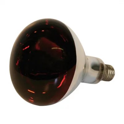 KERBL Lampe chauffante &agrave; infrarouge en verre tremp&eacute; 250 w