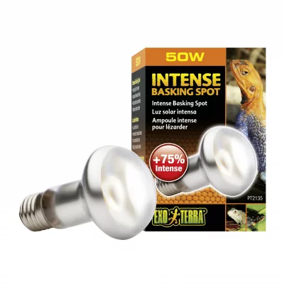EXO TERRA Lampe chauffante Intense Basking Spot  50 w