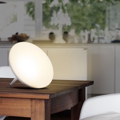 MEDISANA Lampe de luminoth&eacute;rapie  LT 500 45226 23 W blanc 1 pc(s)