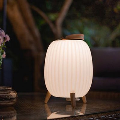 EZILIGHT Lanterne nomade musicale &reg; Ambiant M - Pack de 2 lampes