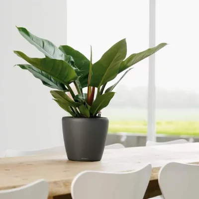 LECHUZA Jardini&egrave;re table CLASSICO LS 21 ALL-IN-ONE Charbon m&eacute;tallique