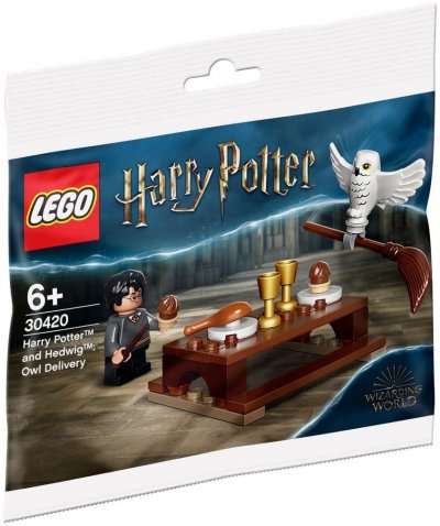 LEGO&reg; Harry Potter&trade; 30420 Harry Potter et Hedwige (polybag)