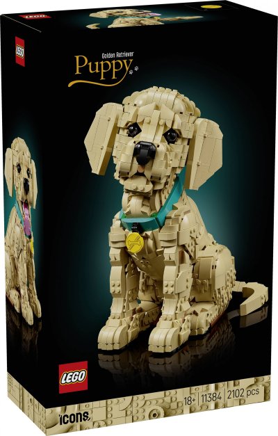 LEGO&reg; Icons 11384 Le chiot Golden Retriever