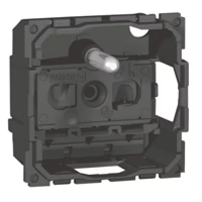 LEGRAND  067110 Prise de Courant Standard, 16A, 250V, 2P