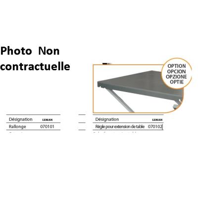 GENERIQUE Leman - Rallonge de table &agrave; droite - Pour scie sur table LOSST315 - 070101