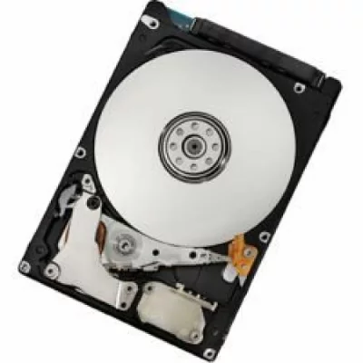 IBM Lenovo Gen2 - disque dur - 300 Go - SAS 6Gb/s