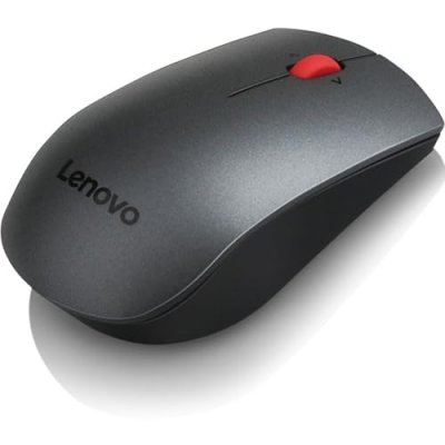 LENOVO  Professional - souris - 2.4 GHz