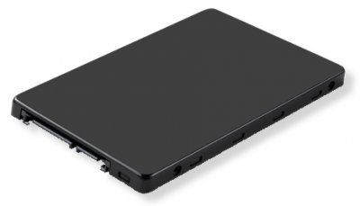 LENOVO  ThinkSystem Multi Vendor Entry - SSD - 960 Go - SATA 6Gb/s
