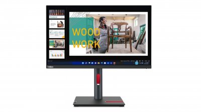 LENOVO  ThinkVision P24Q-30 23.8"" LED Quad HD 6 ms Noir