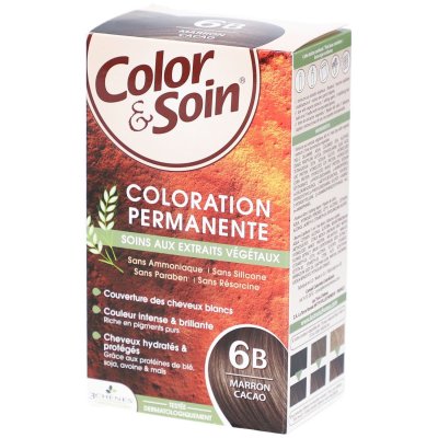 LES 3 CHENES LES 3 CH&Ecirc;NES Color&soin n&deg;6B marron cacao