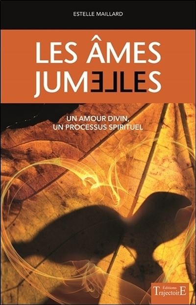 Les &acirc;mes jumelles - Un amour divin - Un processus spirituel (Broch&eacute;)