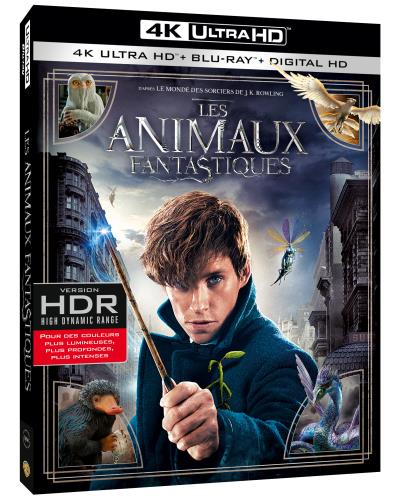 Les Animaux Fantastiques Blu-ray 4K Ultra HD
