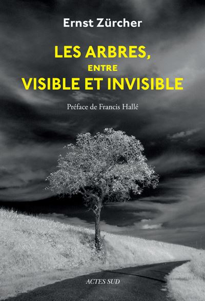 Les Arbres, Entre Visible Et Invisible - S'&eacute;tonner, Comprendre, Agir