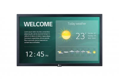 LG  22SM3G Moniteur 22'' FHD LED 60Hz IPS HDMI USB Noir