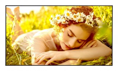 LG  86UL5Q-E Signage Display 86inch ADS UHD 500cd/m2 1,200:1 86UL5Q-E