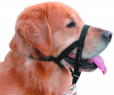NOBBY PET Licols pour chien  Easy Leader 4