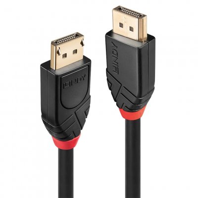 LINDY  - Cable DisplayPort - DisplayPort pour DisplayPort - 10 m