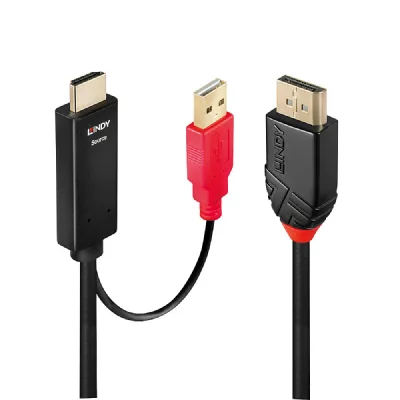 LINDY  cable video/audio - DisplayPort / HDMI - 5 m