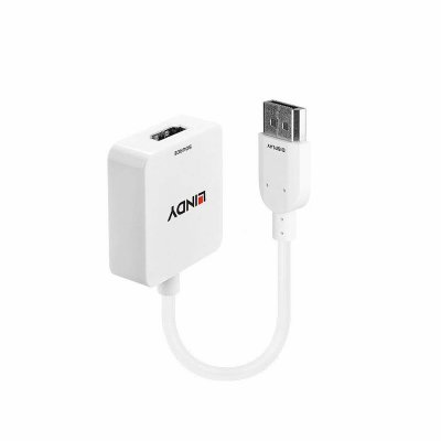 LINDY  convertisseur hdmi vers displayport 4k LIN4002888381468