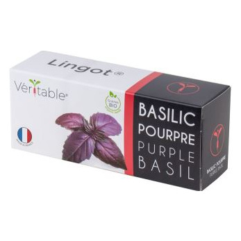 LINGOT &reg; Basilic pourpre BIO - Recharge pr&ecirc;te &agrave; l'emploi