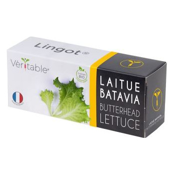 VERITABLE Lingot&reg; Laitue batavia BIO - Recharge pr&ecirc;te &agrave; l'emploi