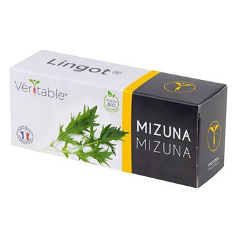 VERITABLE Lingot&reg; Mizuna BIO compatible potager V&eacute;ritable&reg; et Exky&reg;