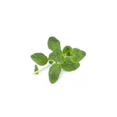 VERITABLE Lingot&reg; Origan BIO compatible potager V&eacute;ritable&reg; et Exky&reg;