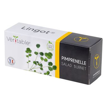 VERITABLE Lingot&reg; Pimprenelle Bio pour potager V&eacute;ritable&reg;