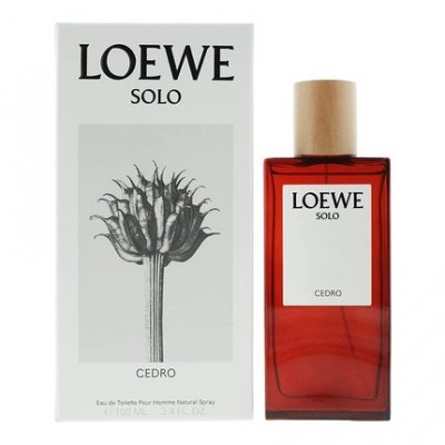 Loewe Solo Cedro Eau De Toilette 100ml Vert Homme