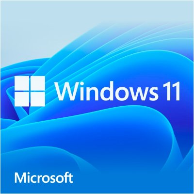 MICROSOFT Logiciel syst&egrave;me exploitation  Windows 11 Home 64Bits COEM
