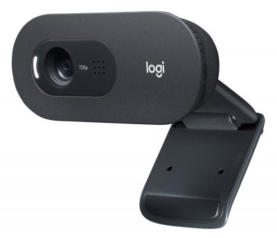 LOGITECH  WEBCAM C505E HD BULK 