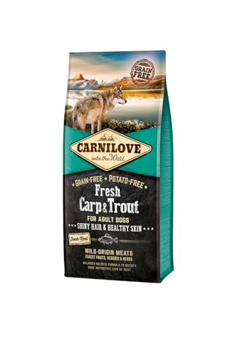 CARNILOVE Lot  pour chien - Fresh Adult carpe, truite (2 x 12 kg)