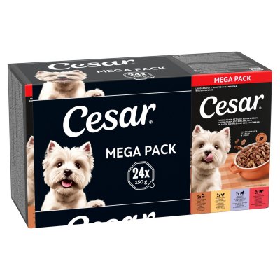 CESAR Lot  24 x 150 g pour chien - Les recettes de campagne